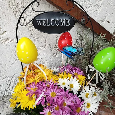 Beim Maler Gandi